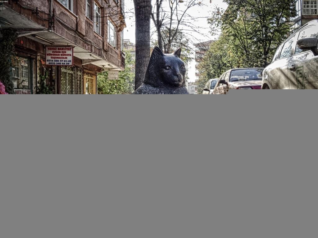 យុទ្ធសាស្ត្រស្លុតសម្រាប់ការប្រើប្រាស់ម៉ាកផ្ទាល់ខ្លួន