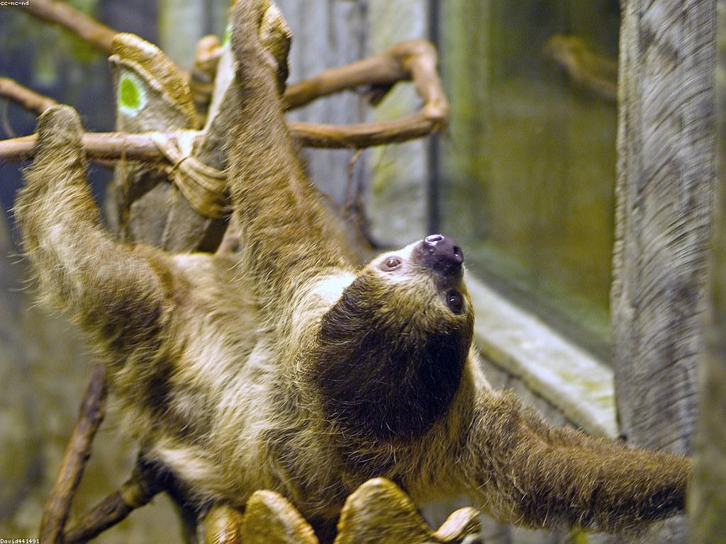 របៀបជ្រើសរើសស្លុតល្អបំផុត