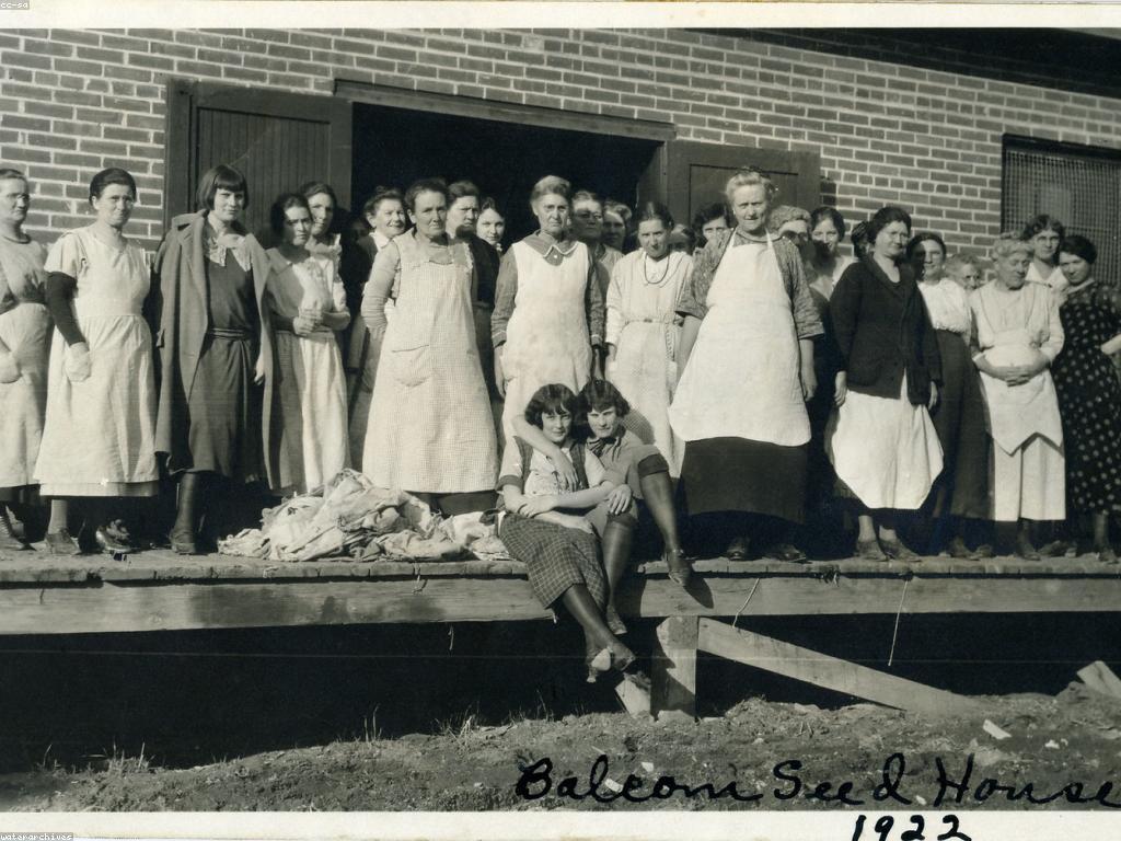 គ្រាប់ស្លុតថ្មី: ការរីកចម្រើននៃការបញ្ចេញគ្រាប់ស្លុត