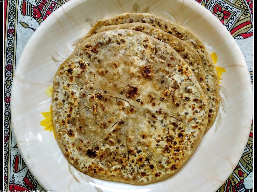 គ្រាប់ស្លុតថ្មី: អត្ថប្រយោជន៍ និង វិធីប្រើប្រាស់