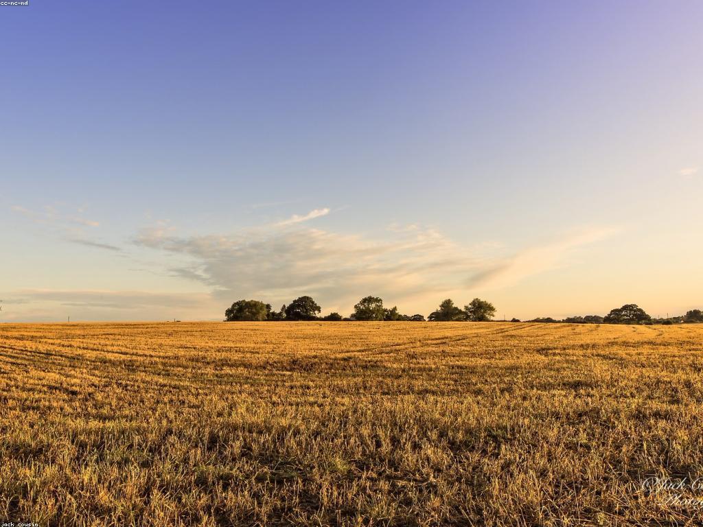 គ្រាប់ស្លុតថ្មី: ការរីកចម្រើននៃការបញ្ចេញគ្រាប់ស្លុត