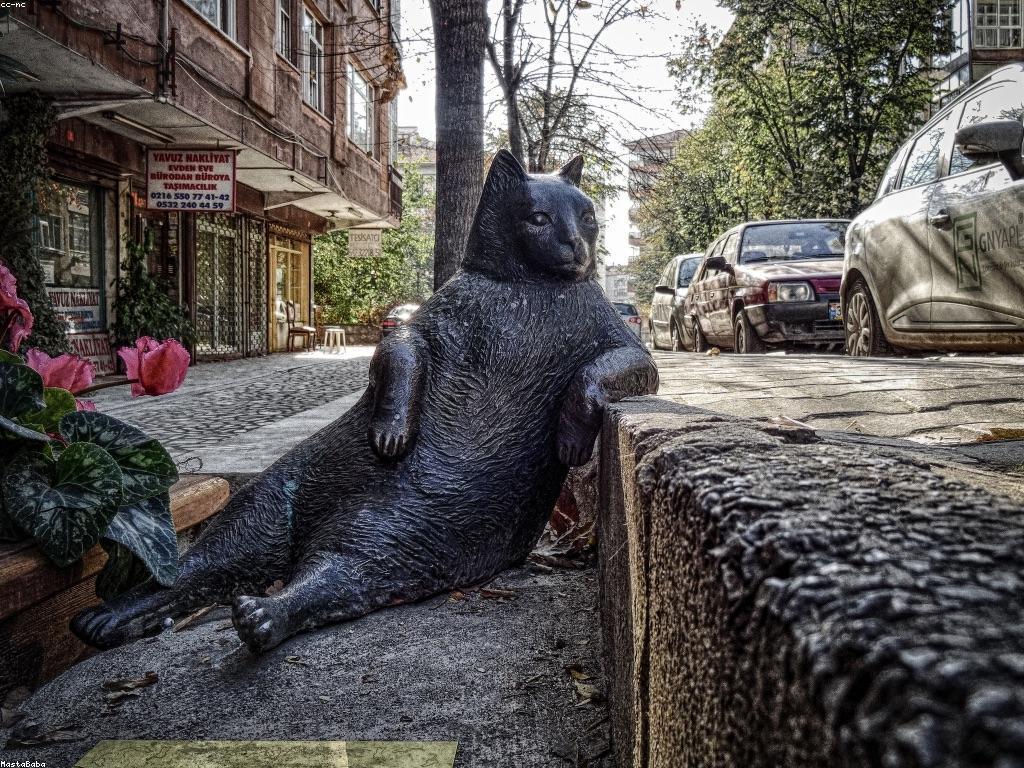 ការយល់ដឹងអំពីការប្រកួតស្លុត