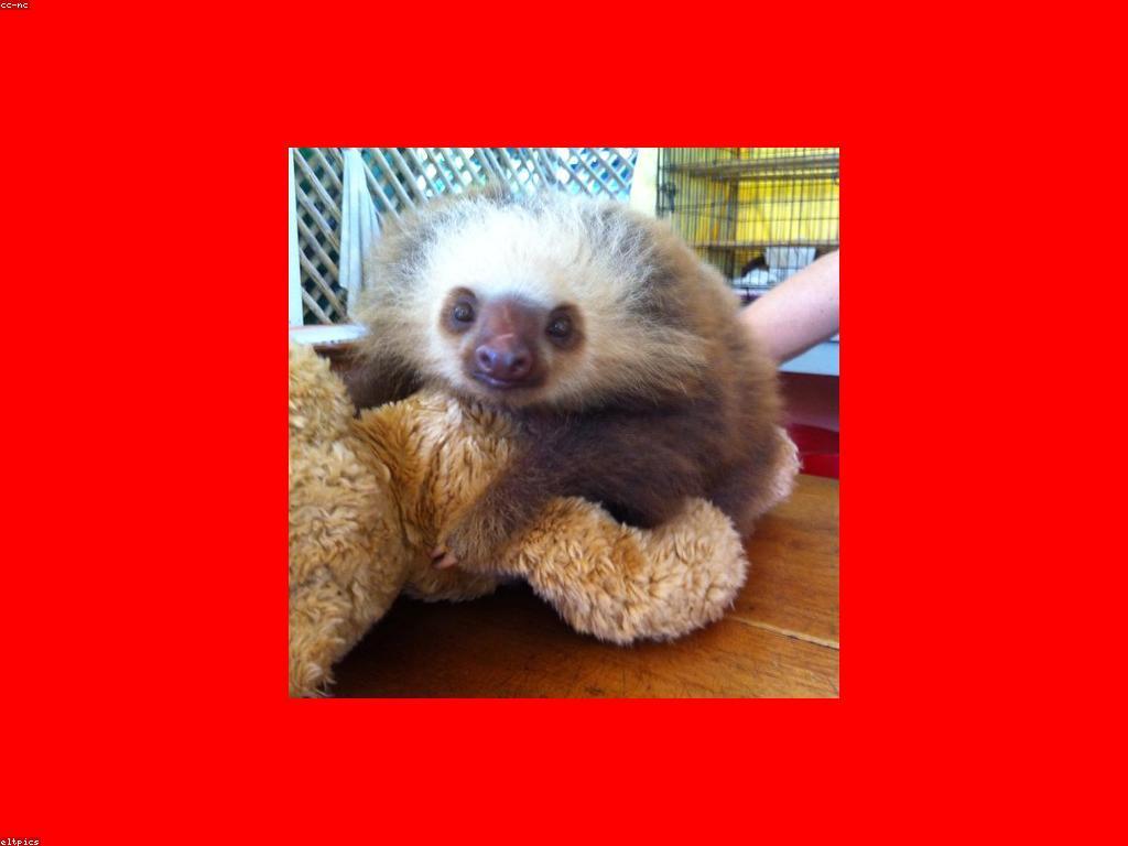 របៀបជ្រើសរើសស្លុតល្អបំផុត