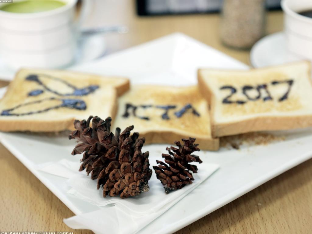 ក្រុមវិធីសាស្រ្តថ្មីសម្រាប់គ្រាប់ស្លុតថ្មី