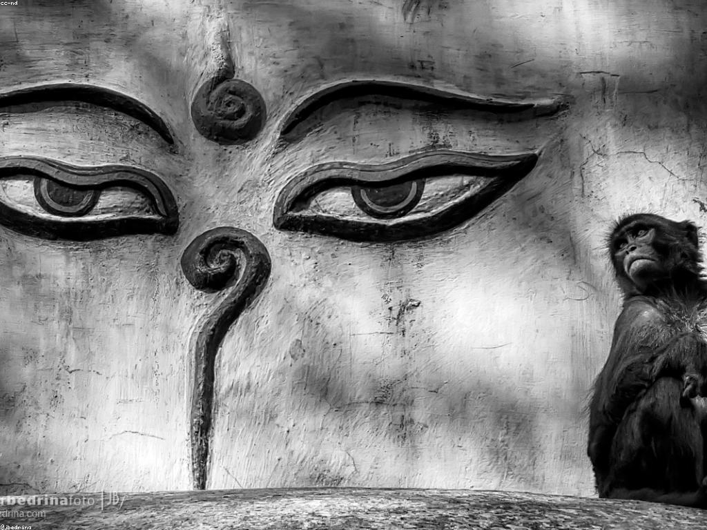 យុទ្ធសាស្ត្រស្លុត: ការបង្កើតការប្រកួតប្រជែងនៅក្នុងទីផ្សារ