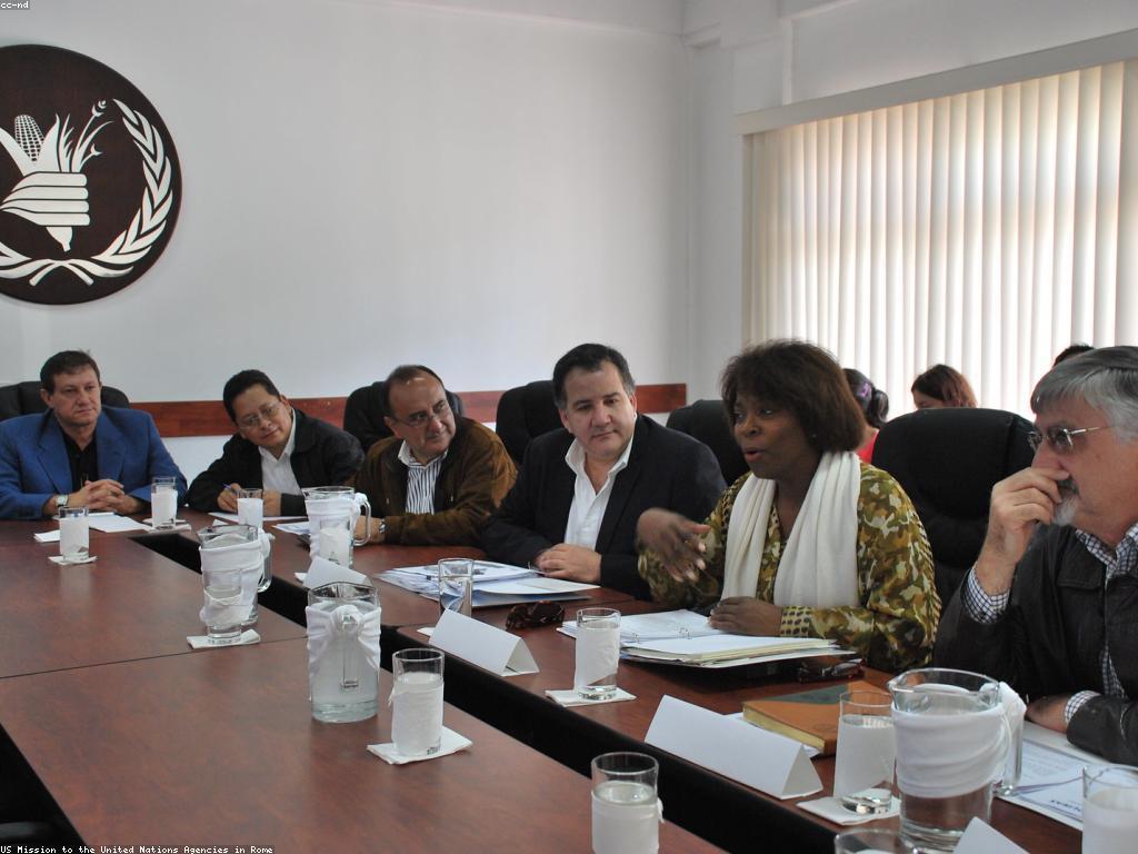 គ្រាប់ស្លុតថ្មី: ដំណើរការនៃការប្រែប្រួលនៃជម្លោះស្រាល