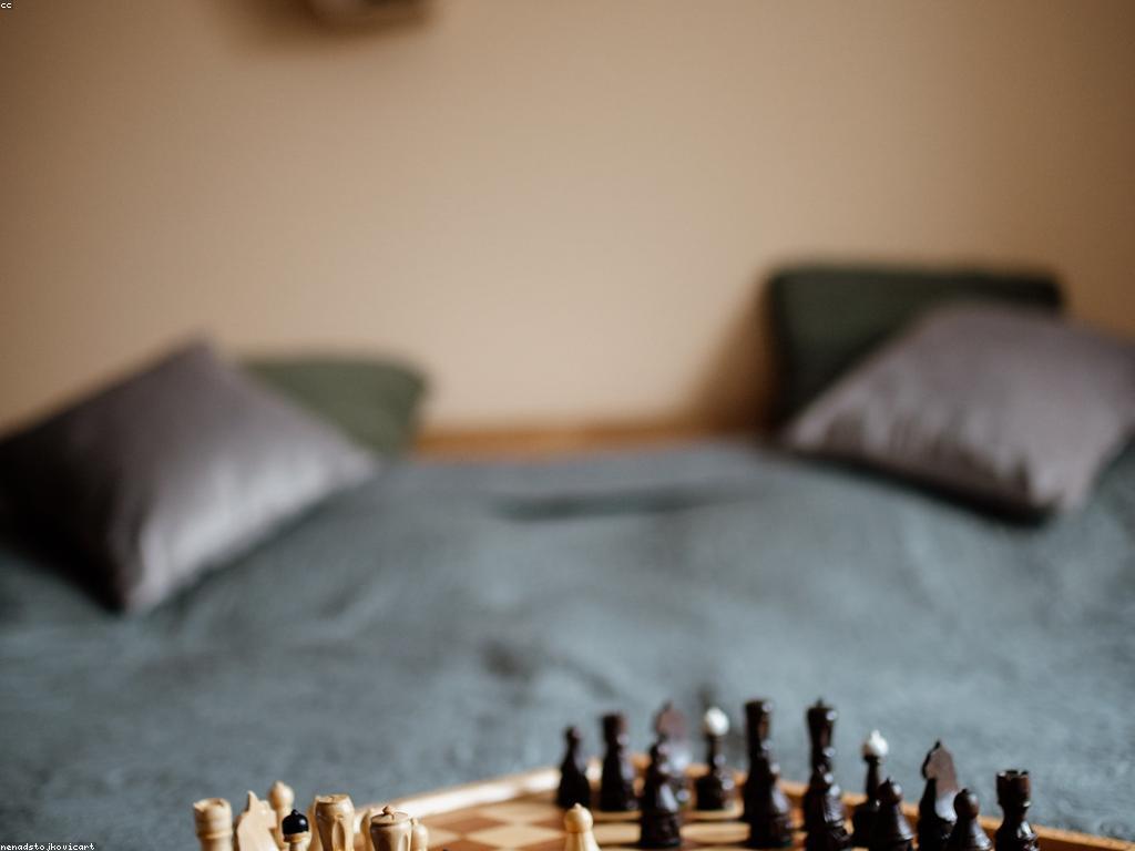 ការប្រកួតស្លុត៖ របៀបអភិវឌ្ឍន៍ជំនាញ និងយុទ្ធសាស្ត្រ